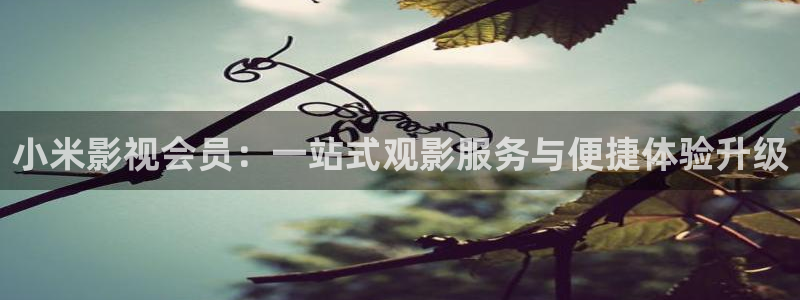 羞羞影院免费体验区：小米影视会员：一站式观影服务与便捷体验升级