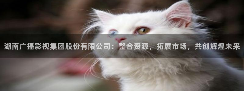 羞羞影院体验：湖南广播影视集团股份有限公司：整合资源，拓展市场，共创辉煌未来