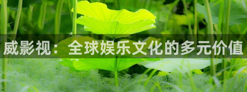 羞羞电影院：威影视：全球娱乐文化的多元价值